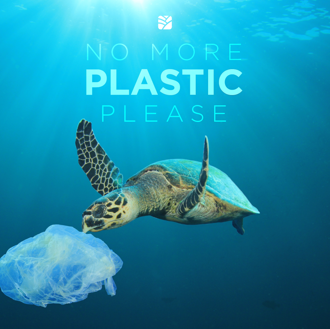 Albums 102+ Pictures Plastic In The Ocean Images Stunning