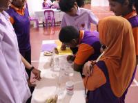 Stem Expo Day 1 