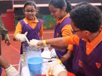 Stem Expo Day 2