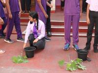 Environment Day Tree Planting