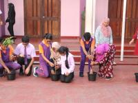 Environment Day Tree Planting