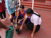 Environment Day Tree Planting